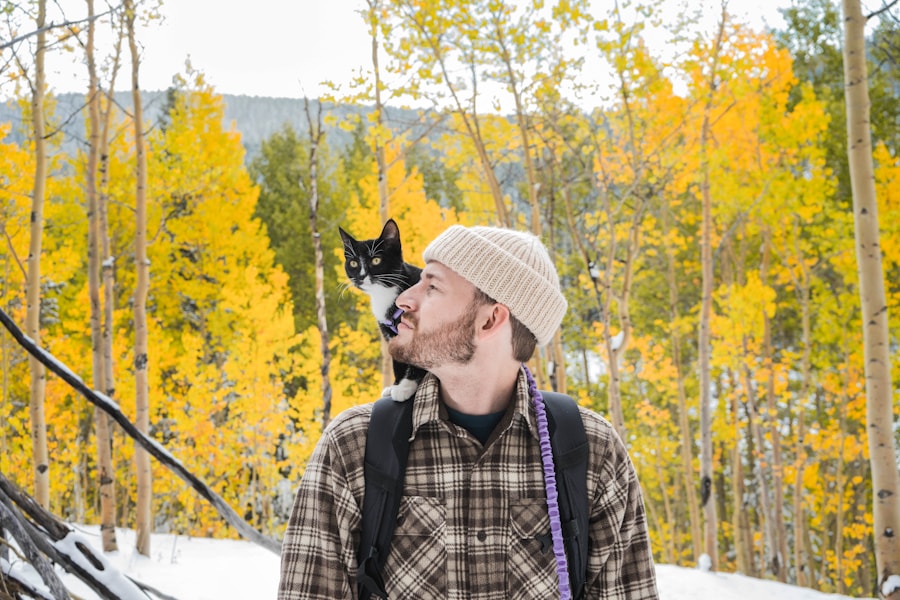 Animal avec son maître