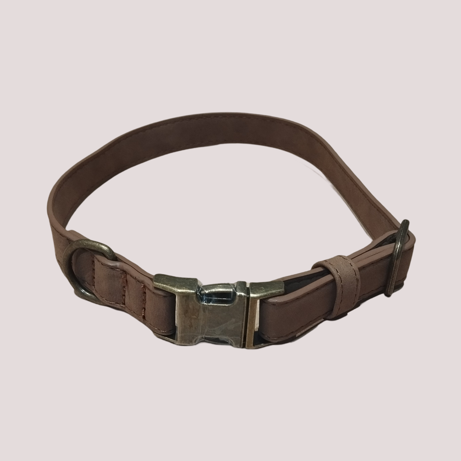 Collier pour chien Wonders Pets